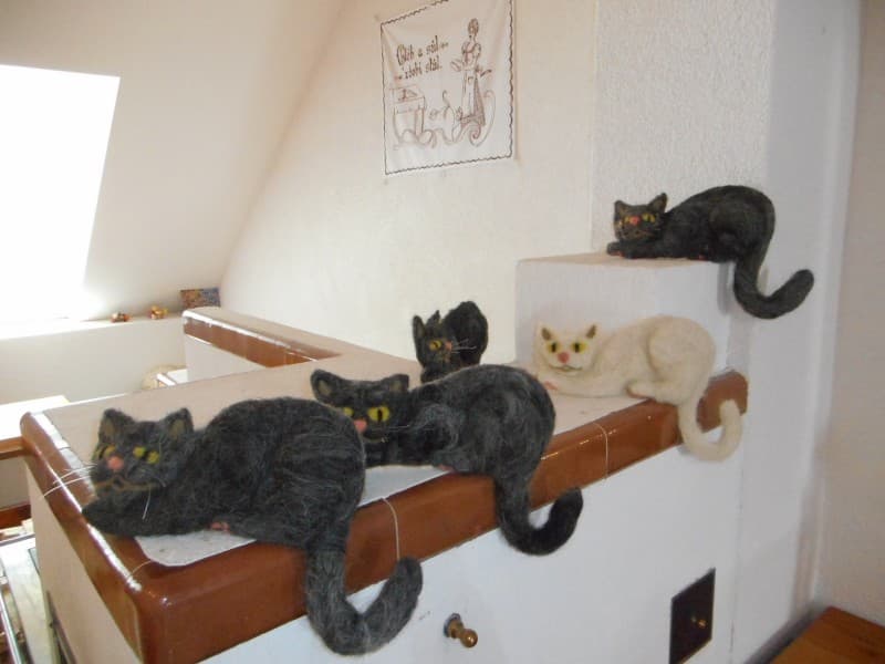 Fotografie z farmy 5