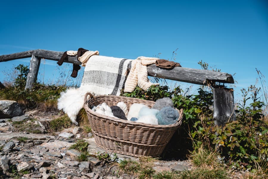 Fotografie z farmy 2